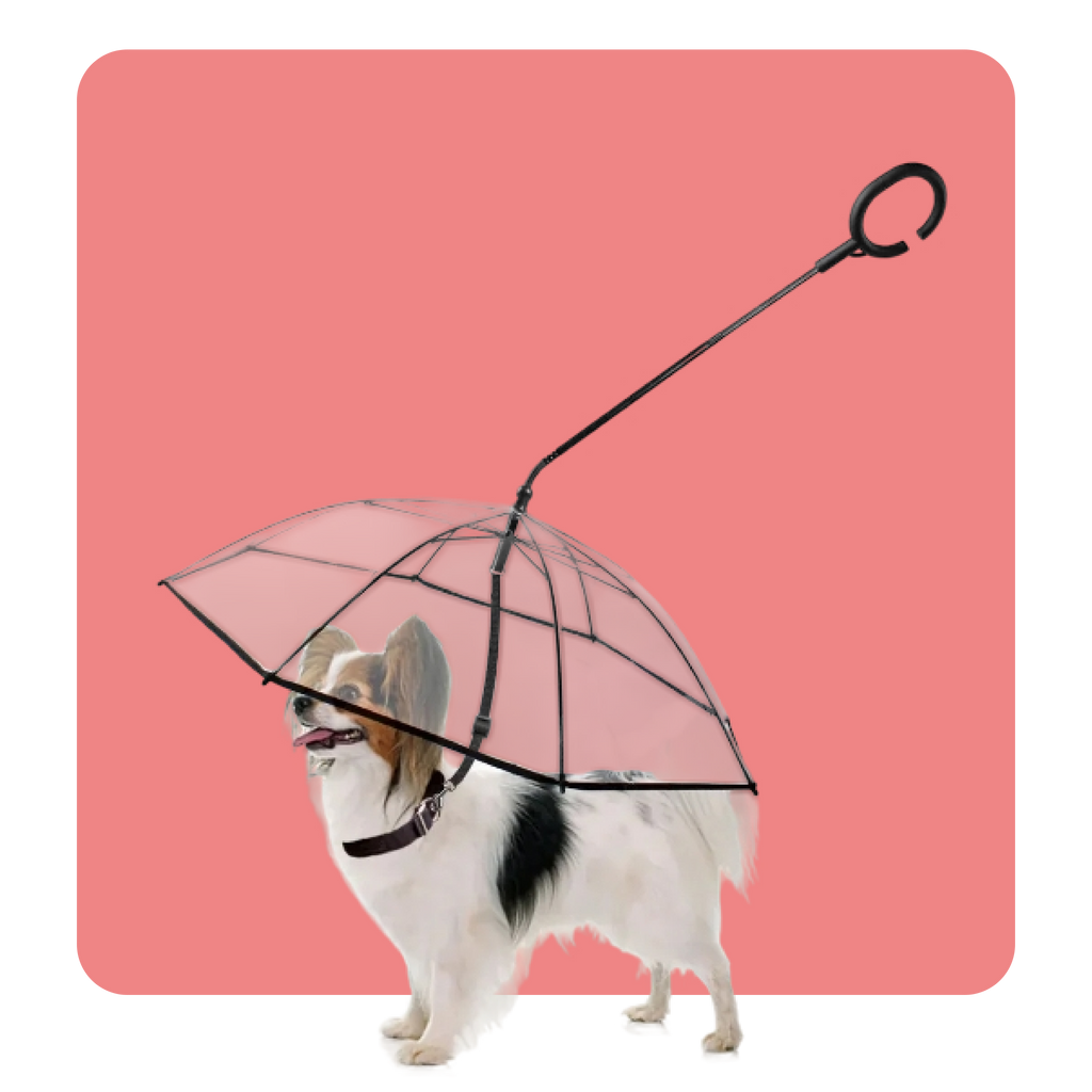 Transparent Dog Umbrella for Pets and Accessories