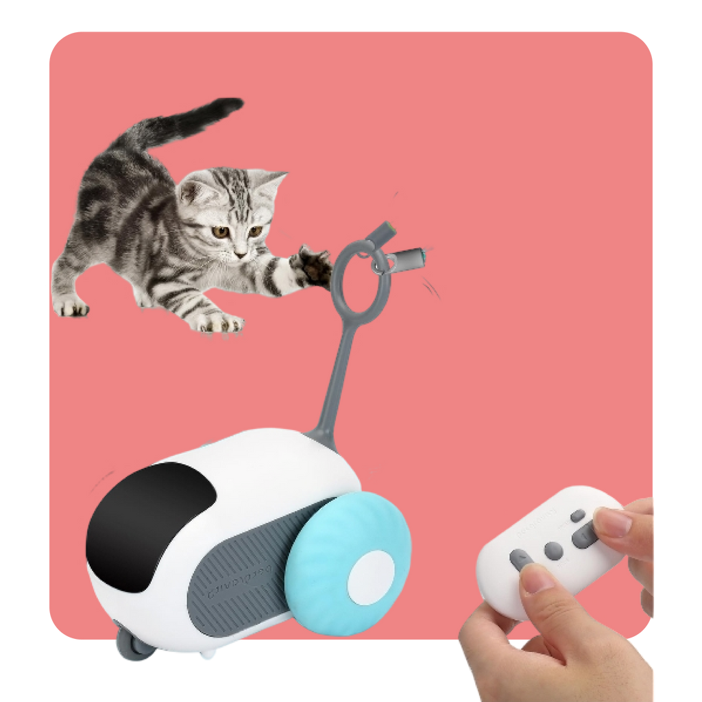 Remote Control Interactive Cat Toy (Rechargeable, 2-Speed, Smart Auto Mode)