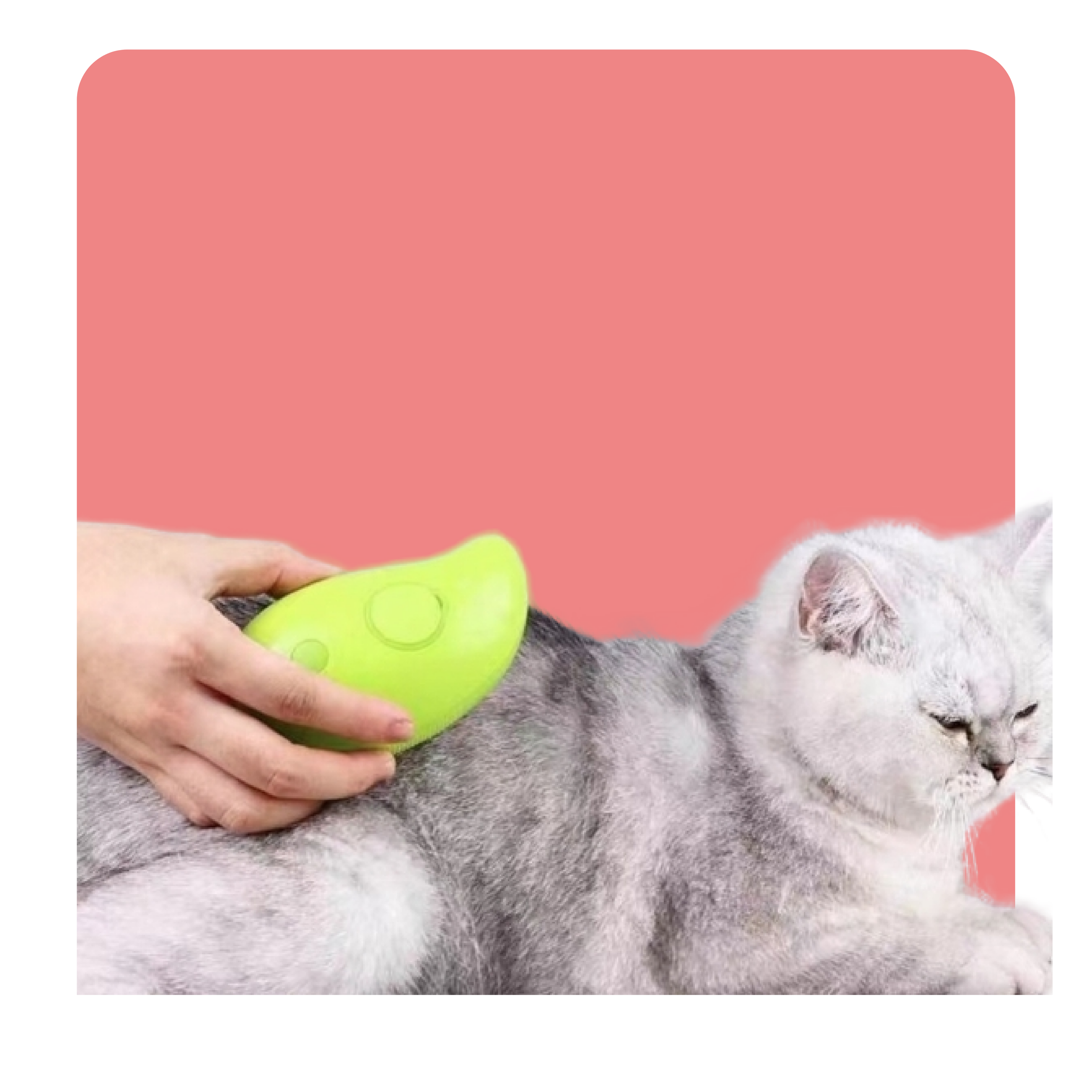 Hair Brushes For Massage Pet Grooming Comb