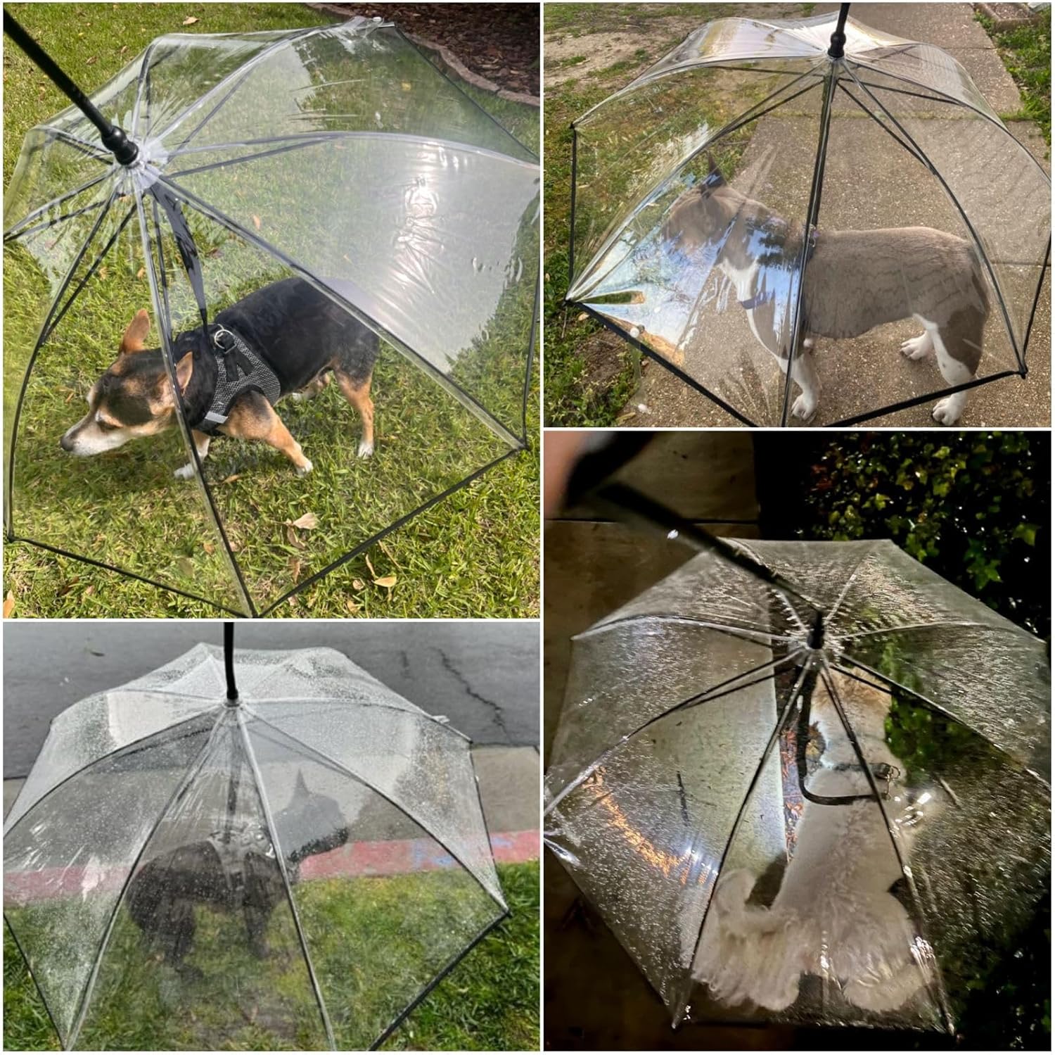 Transparent Dog Umbrella for Pets and Accessories