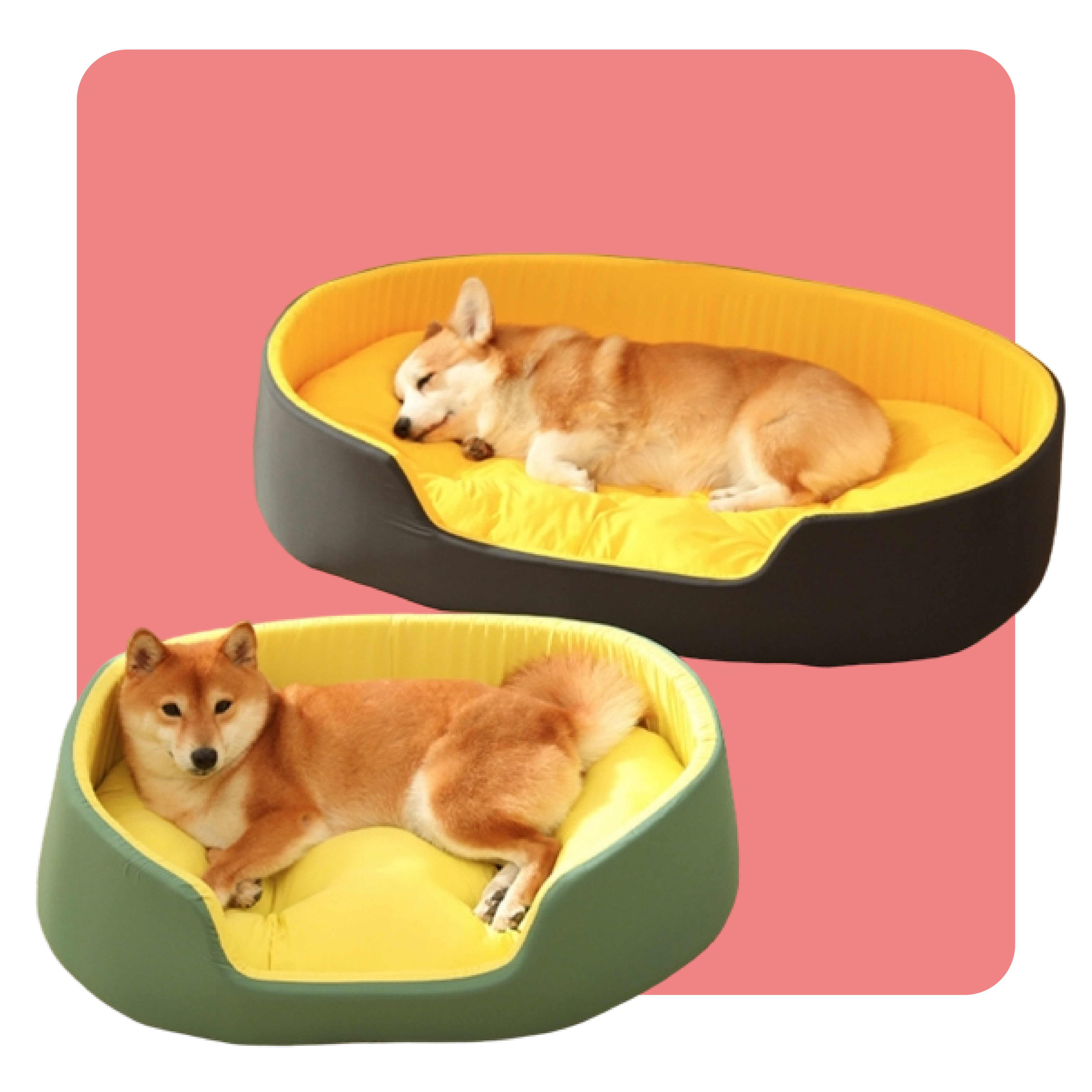 Universal Pet Dog Bed with Removable Washable Cover