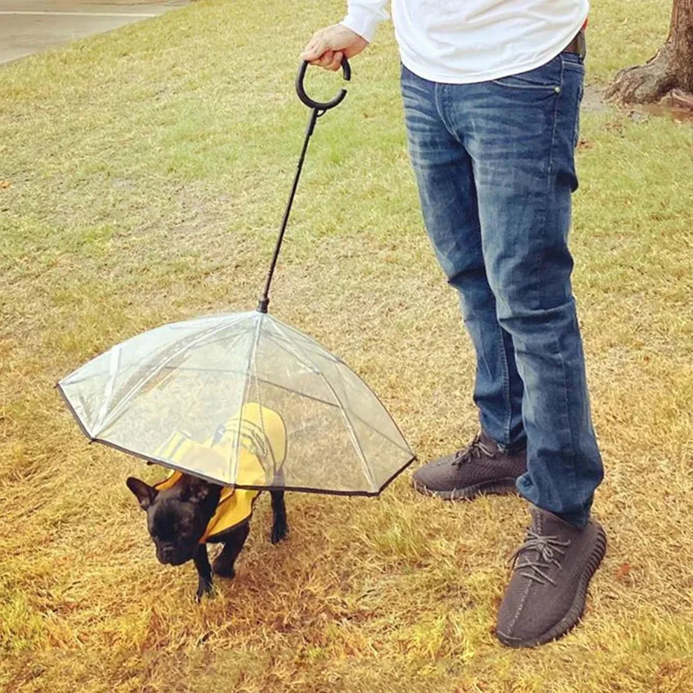 Transparent Dog Umbrella for Pets and Accessories